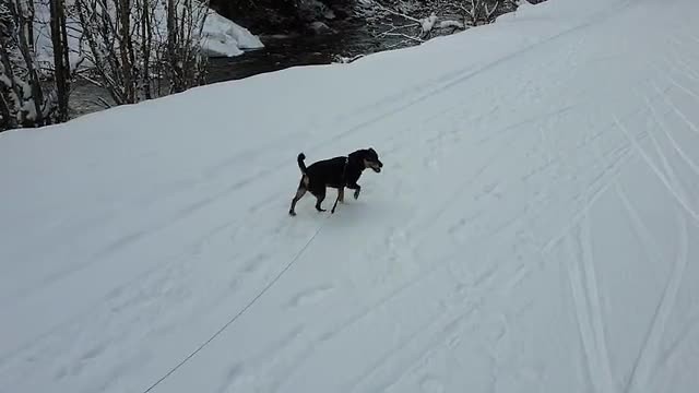 Pitztal wandeling