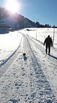 Wandelen in Hochhäderich januari 2022