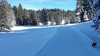 Kraken in sneeuw Hochhäderich januari 2022