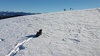 Youp ploetert door de sneeuw januari 2022