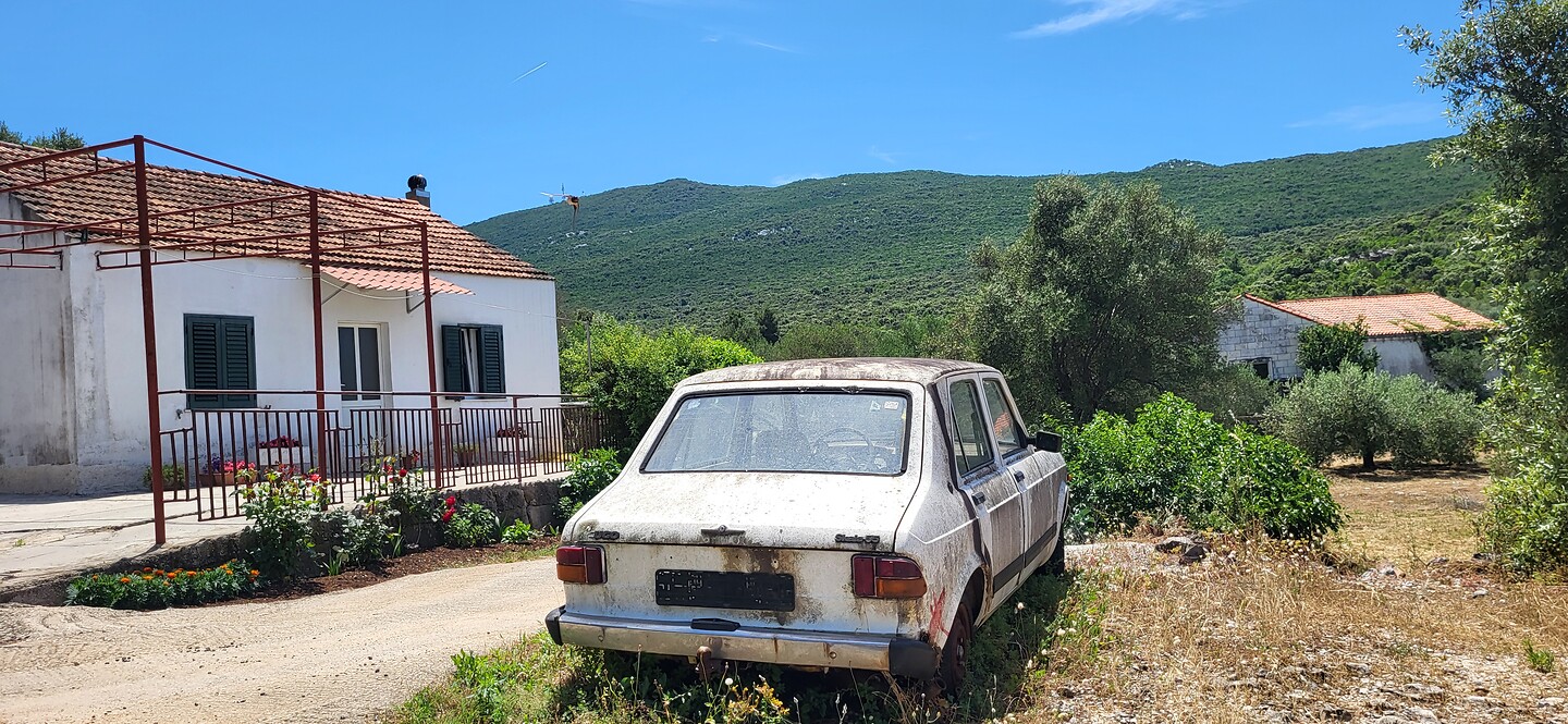 1000066208