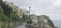Scilla