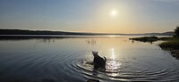 52745