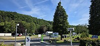 54356