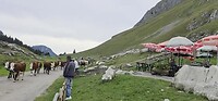 Alpage Bise
