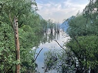 Natuurreservaat naast camping
