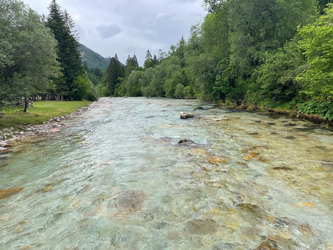 Kranjska Gora