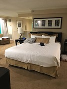 Hotel New York New York