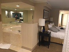 Hotel New York New York