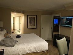 Hotel New York New York