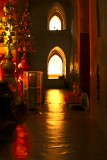 IMG_2230_1024