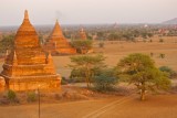 IMG_2281_1024