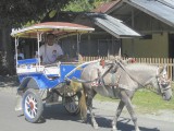IMG_5720