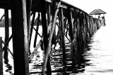 IMG_5250