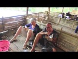sulawesi, toraja and diving