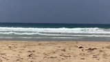 Red frog beach