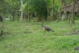 SAM_3534