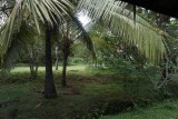 SAM_3540
