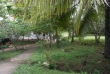 SAM_3541