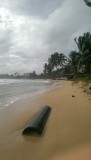 Mirissa