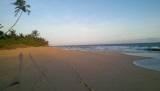 IMAG0117
