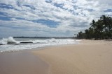 SAM_3774