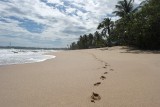 Footsteps on a lonely beach