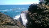 Blowhole