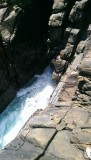 Blowhole