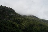 SAM_4003