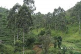 SAM_4039