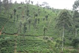 SAM_4040