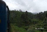 SAM_4042