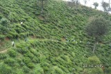 SAM_4049