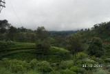 SAM_4052