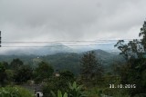 SAM_4055
