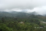 SAM_4060