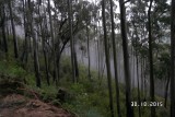 SAM_4094