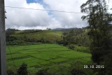 SAM_4100