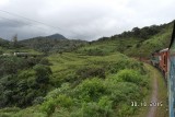 SAM_4103