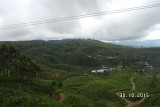 SAM_4113