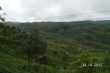 SAM_4115