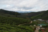 SAM_4120