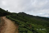 SAM_4121