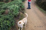 SAM_4122