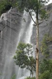 Waterfall Nuwara Eliya