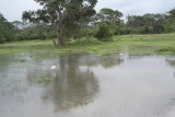 Yala national park