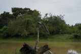 SAM_4226
