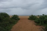 SAM_4231