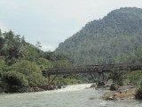 DSC01915